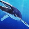 Big Blue Whale Diamond Painting
