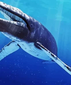 Big Blue Whale Diamond Painting