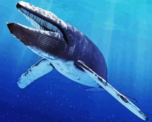 Big Blue Whale Diamond Painting