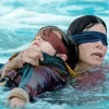 Bird Box Movie Diamond Painting