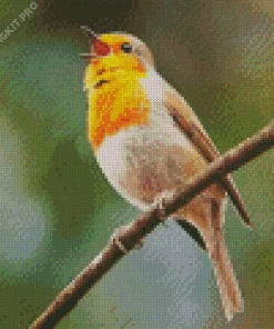 Bird Singing Diamond Painting