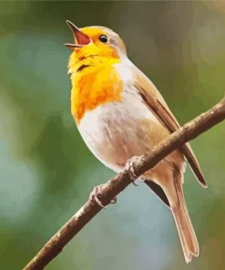 Bird Singing Diamond Painting