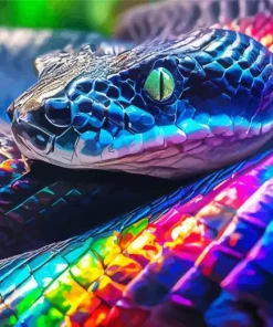 Black And Rainbow Snake Diamond Painting