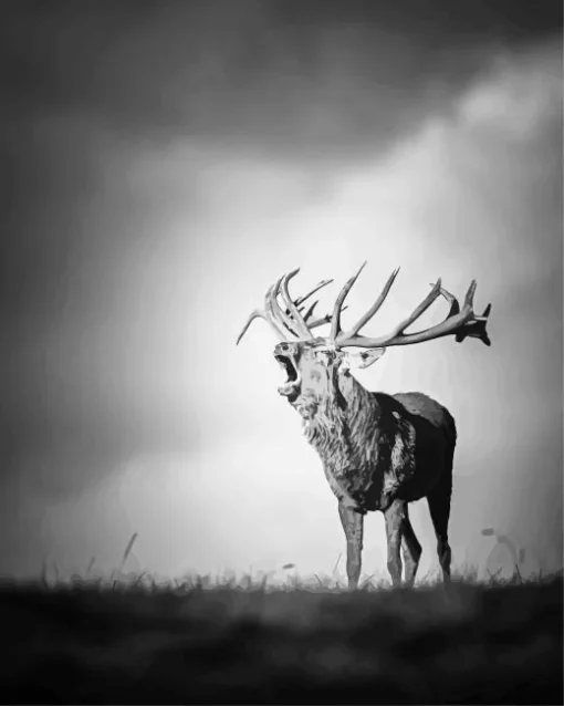 Black And White Deer Diamond Painting