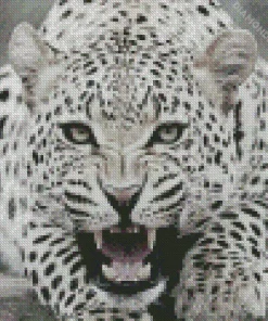 Black And White Leopard Diamond Painting