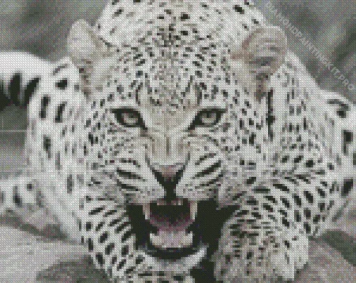 Black And White Leopard Diamond Painting