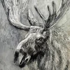 Black And White Moose Diamond Painting