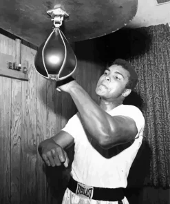 Black And White Muhammad Ali Diamond Painting