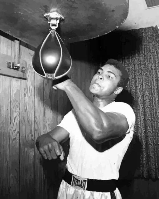 Black And White Muhammad Ali Diamond Painting