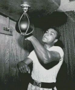 Black And White Muhammad Ali Diamond Painting
