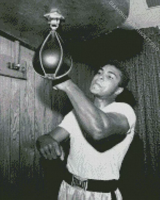 Black And White Muhammad Ali Diamond Painting