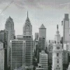 Black And White Philadelphia Diamond Painting