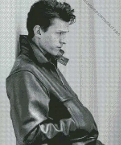 Black And White Tom Holland Diamond Painting