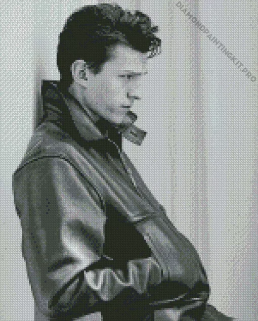 Black And White Tom Holland Diamond Painting