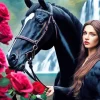 Black Horse With Roses Diamond Painting