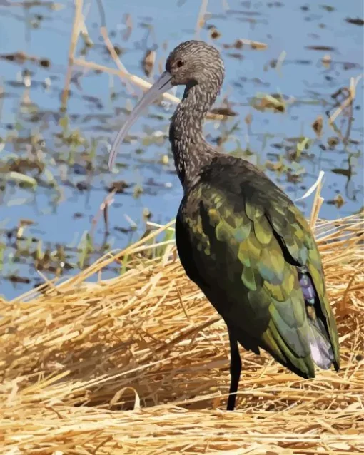 Black Ibis Bird Diamond Painting