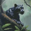 Black Jaguar Diamond Painting