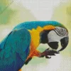 Blue And Gold Macaw Diamond Painting