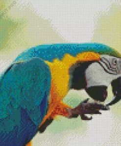 Blue And Gold Macaw Diamond Painting