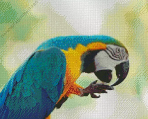 Blue And Gold Macaw Diamond Painting