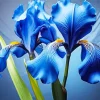 Blue Iris Diamond Painting