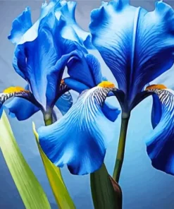 Blue Iris Diamond Painting