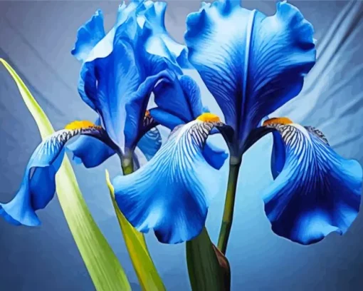 Blue Iris Diamond Painting