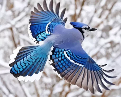 Blue Jay Bird Flying Diamond Painting