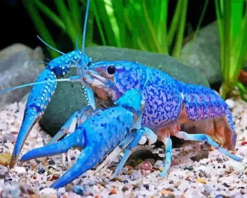 Blue Lobster Diamond Painting