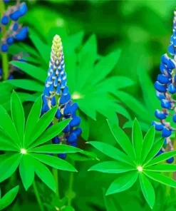 Blue Lupine Flowers Diamond Painting