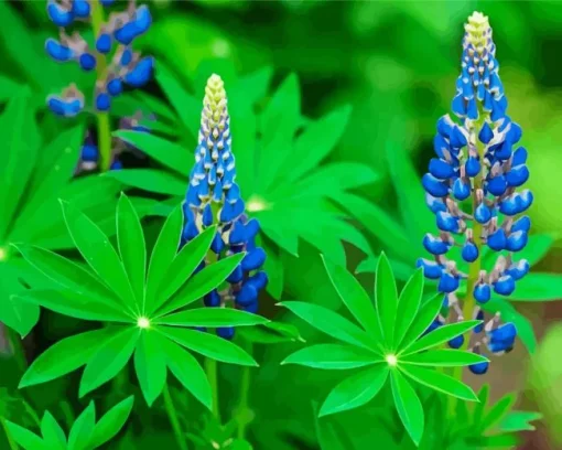 Blue Lupine Flowers Diamond Painting