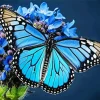 Blue Monarch Diamond Painting