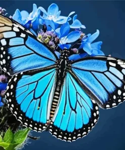 Blue Monarch Diamond Painting