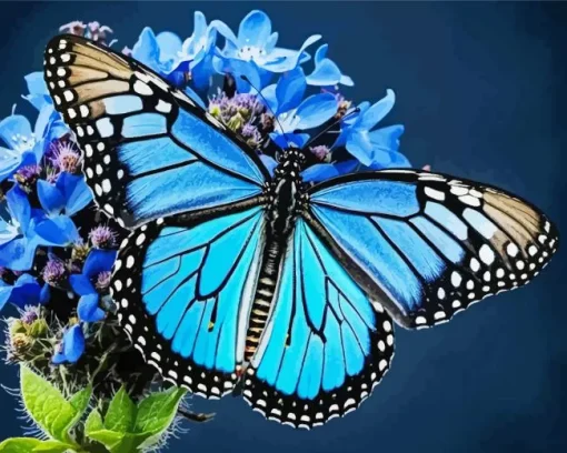 Blue Monarch Diamond Painting