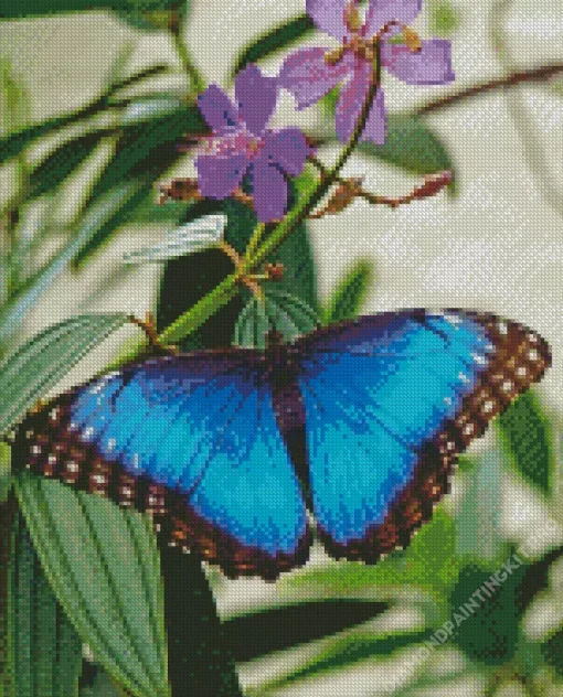 Blue Morpho Butterfly Diamond Painting