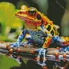 Blue Orange Frog Diamond Painting