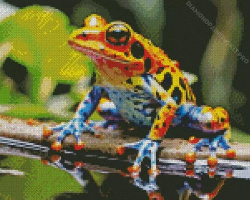 Blue Orange Frog Diamond Painting