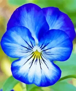Blue Pansy Flowers Diamond Painting