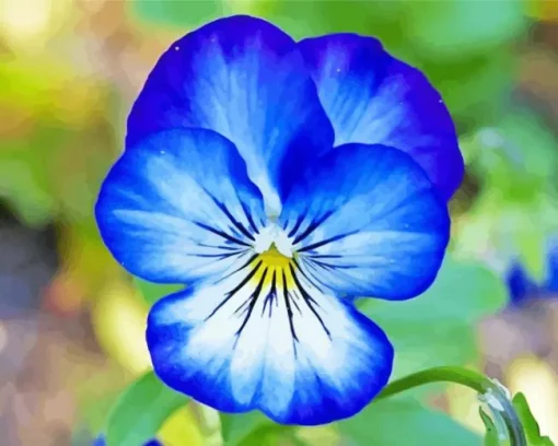 Blue Pansy Flowers Diamond Painting