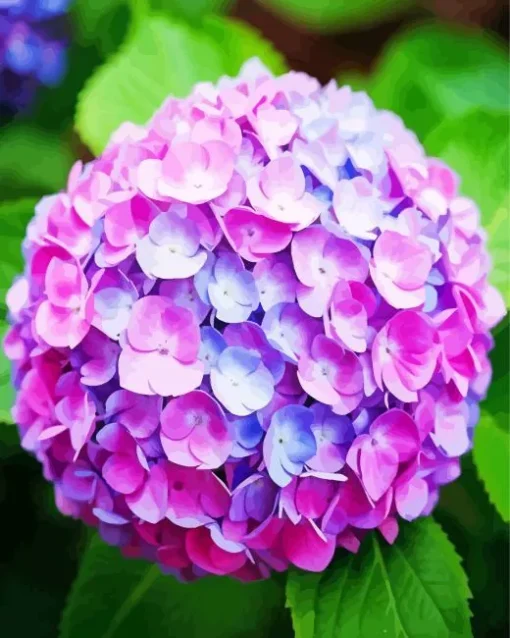 Blue Pink Purple Hydrangea Diamond Painting