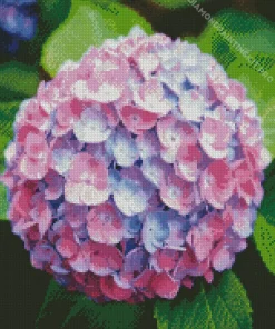 Blue Pink Purple Hydrangea Diamond Painting