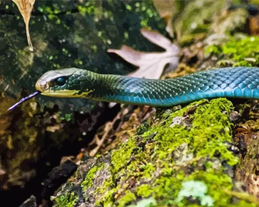 Blue Racer Snake Diamond Painting