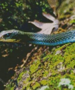 Blue Racer Snake Diamond Painting