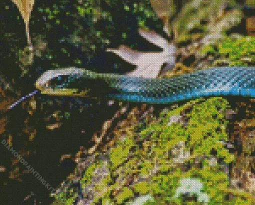 Blue Racer Snake Diamond Painting