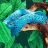 Blue Spiny Bush Viper Diamond Painting