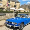 Blue Triumph Stag Diamond Painting