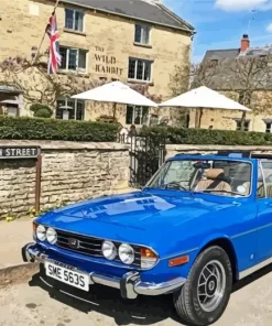 Blue Triumph Stag Diamond Painting