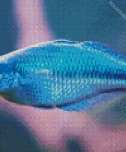 Blue Tropical Fish Diamond Painting