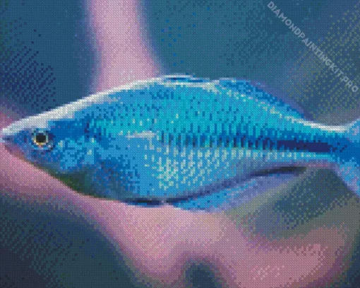 Blue Tropical Fish Diamond Painting