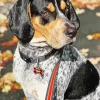 Bluetick Coonhound Diamond Painting
